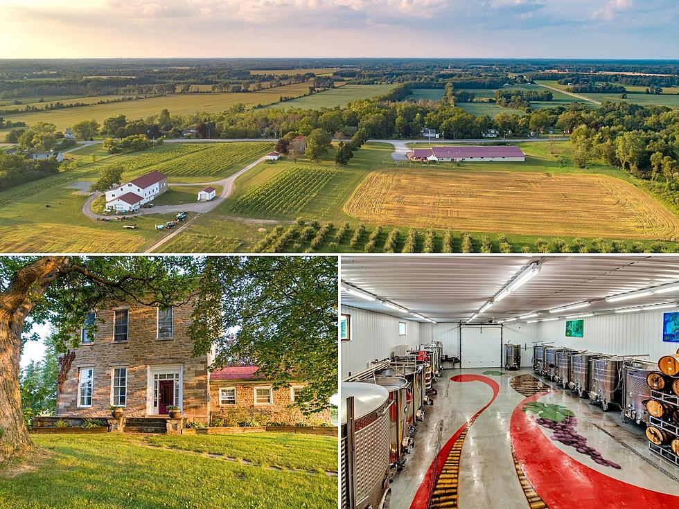 Stop And Smell The Rosé, Own This Wonderful $12M NY Winery