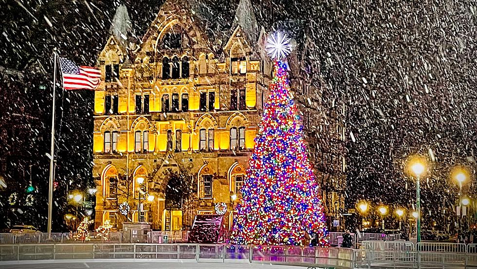 Snowy Picture of Fake Christmas Tree in Syracuse Goes Viral
