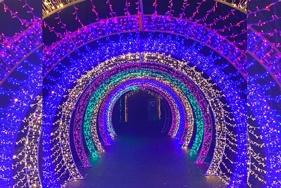 See Wild Winter Wonderland of Lights & Help Feed the Hungry