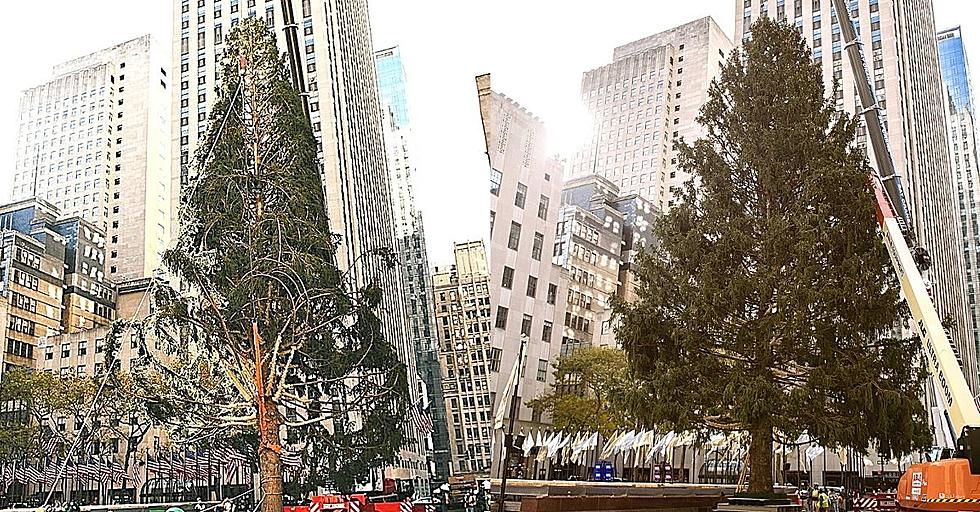 Rockefeller Tree Has Arrived & It Already Looks Better Than 2020