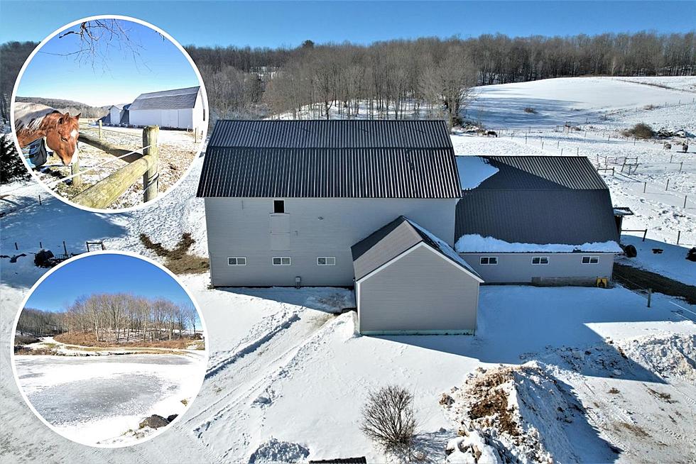 A Horse Lovers Dream; Custom Designed Farm House For Sale In CNY