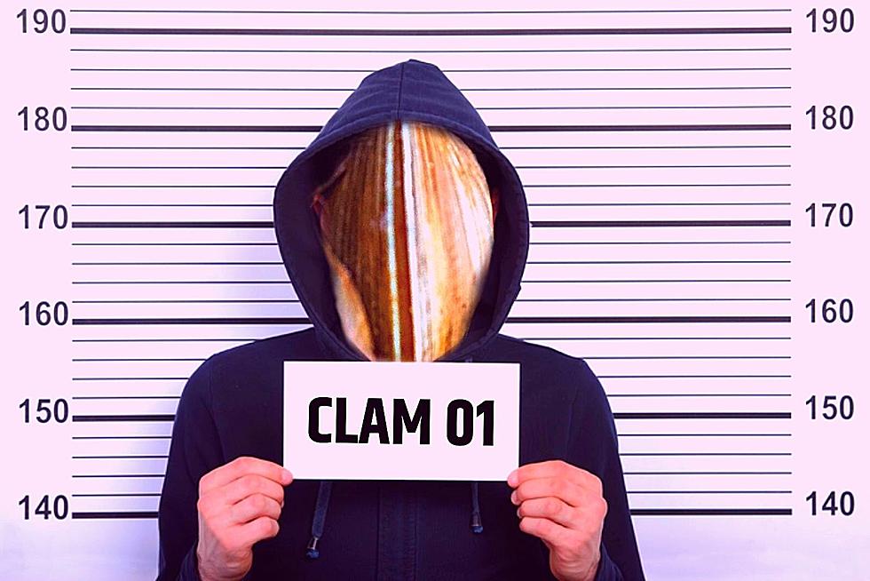 A Clammy Crime; Person Steals Over 700 Clams In New York State