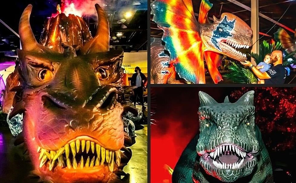 Life Like 60 Foot Dinosaurs & Dragons Invading Syracuse Fairgrounds