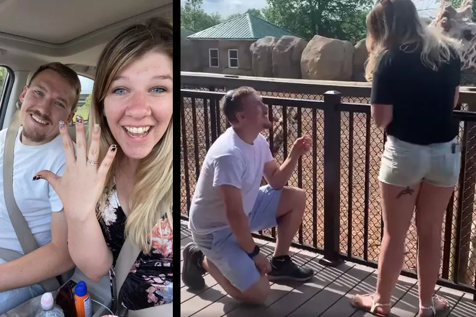 It&#8217;s A Yes! Man Gives &#8220;Wild&#8221; Proposal At This CNY Animal Park