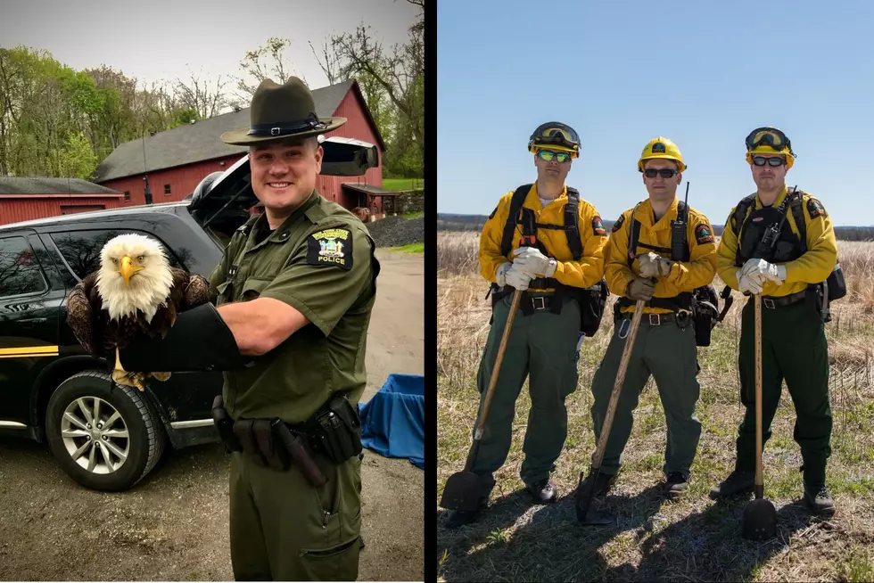 Love Being Outside? Serve As A NY Environmental Officer Or Forest Ranger