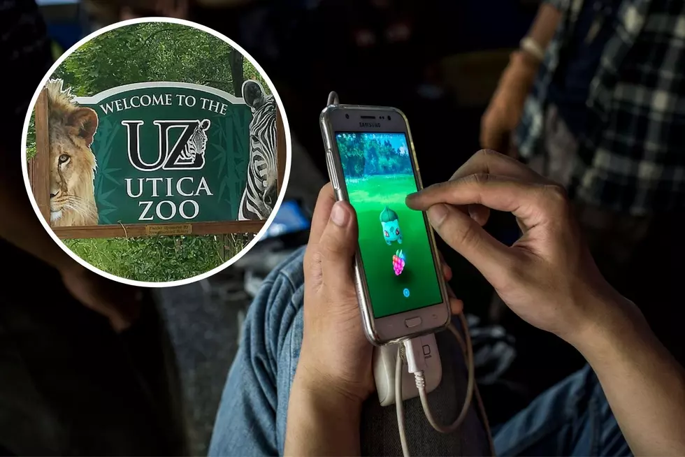 Gotta Catch Em All! Utica Zoo Hosting An Event That’s Fun For Everyone