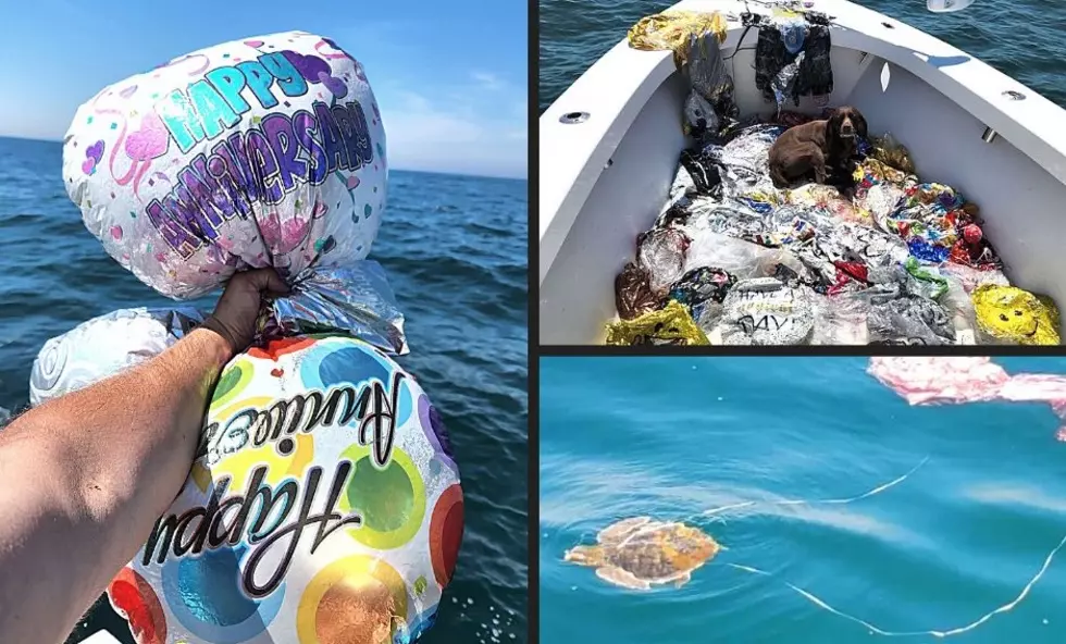 Stop Releasing Balloons! Over 50 Collected From New York Waters