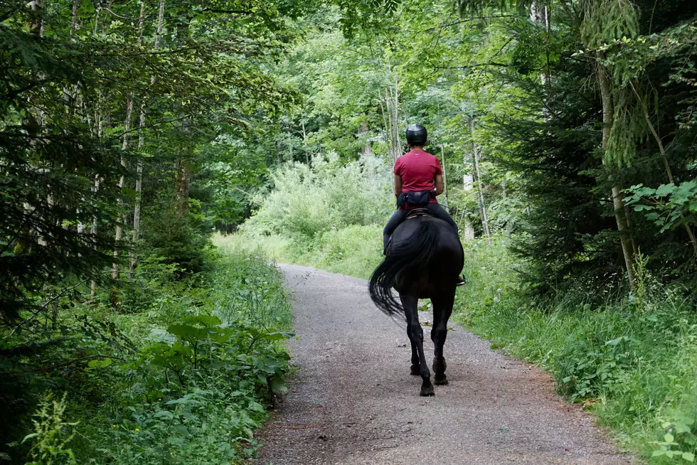 One Of The State's Most Popular Horse Trails Is Here In CNY