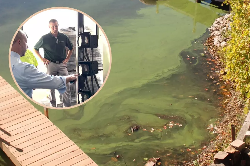 Major Steps Being Made To Reduce Harmful Algal Blooms In New York Lakes