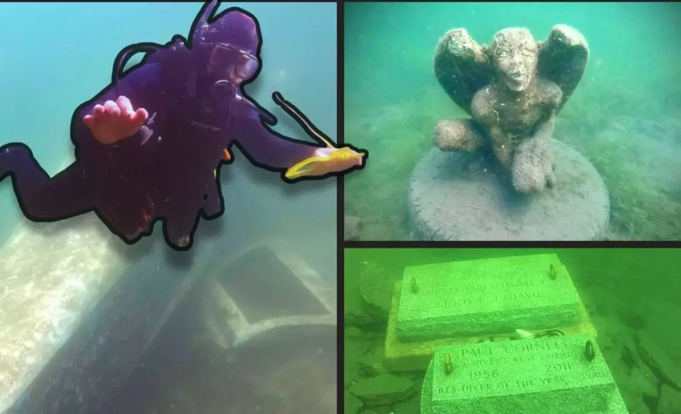 Divers Discover Collection That's Sweet at Bottom of Lake George