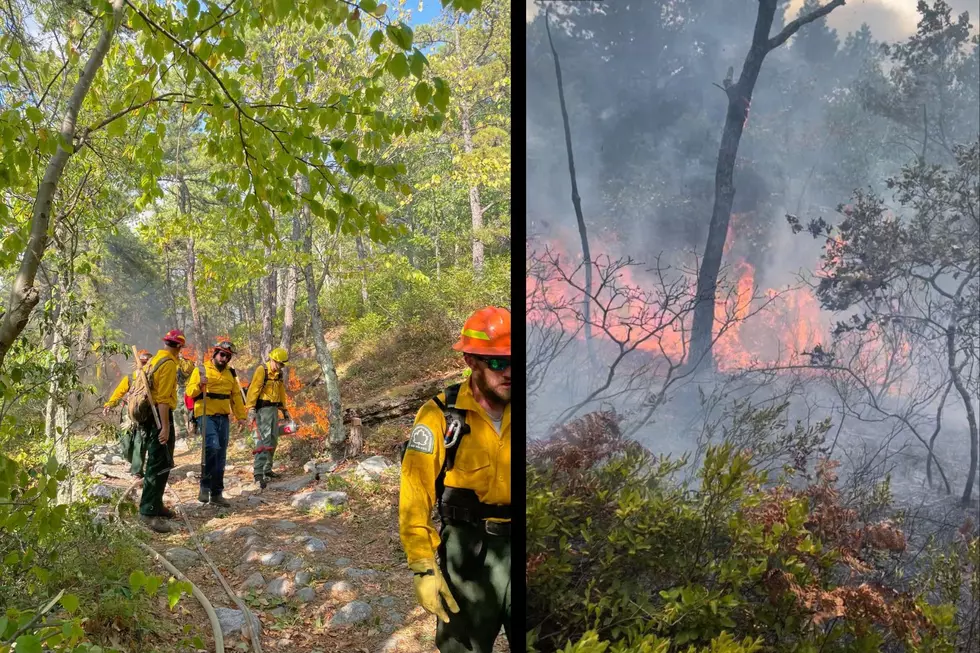 Upstate New York Forest Fire Still Spreading; Now Over 270 Acres