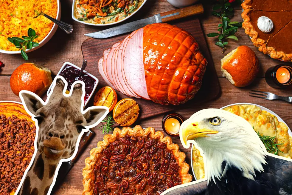 A Friendsgiving Feast with Your Favorite Animals At This CNY Zoo