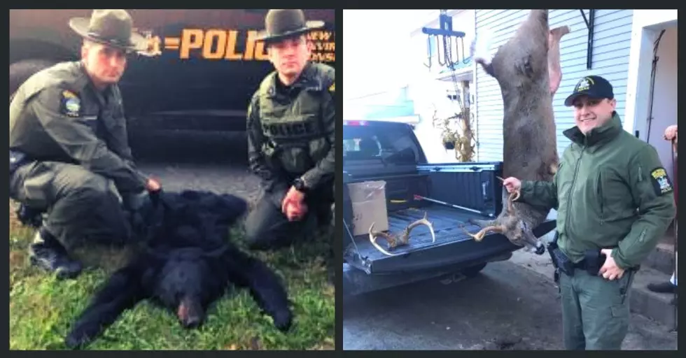 Hunters Caught Illegally Baiting Deer & Bear, 1 Even Posted on Social Media
