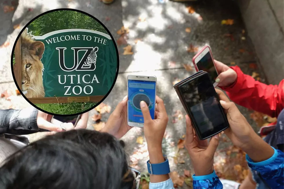 Pokémon Go to the Utica Zoo! Fun Event is Back for the Fall Season