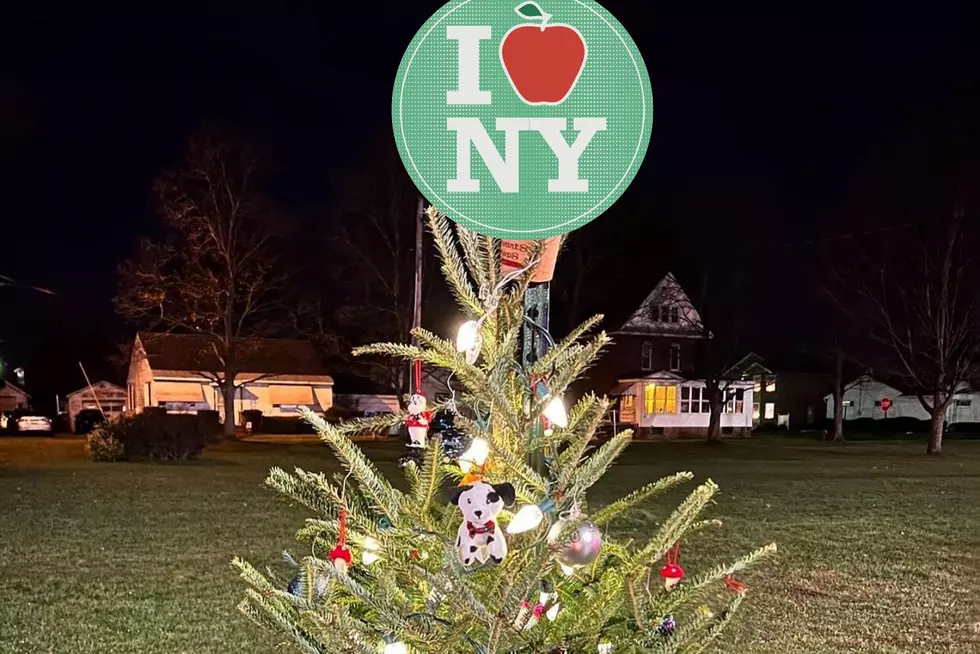 Family Decorates Most Upstate New York Christmas Tree to Honor Late Son