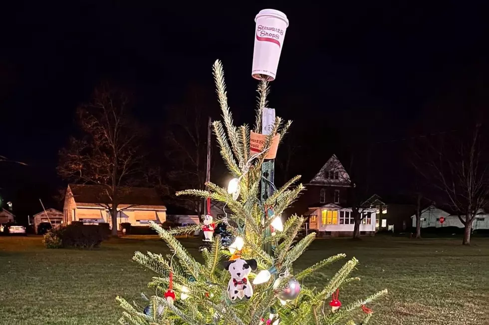 13 Christmas Decorations That Prove You’re From Upstate New York