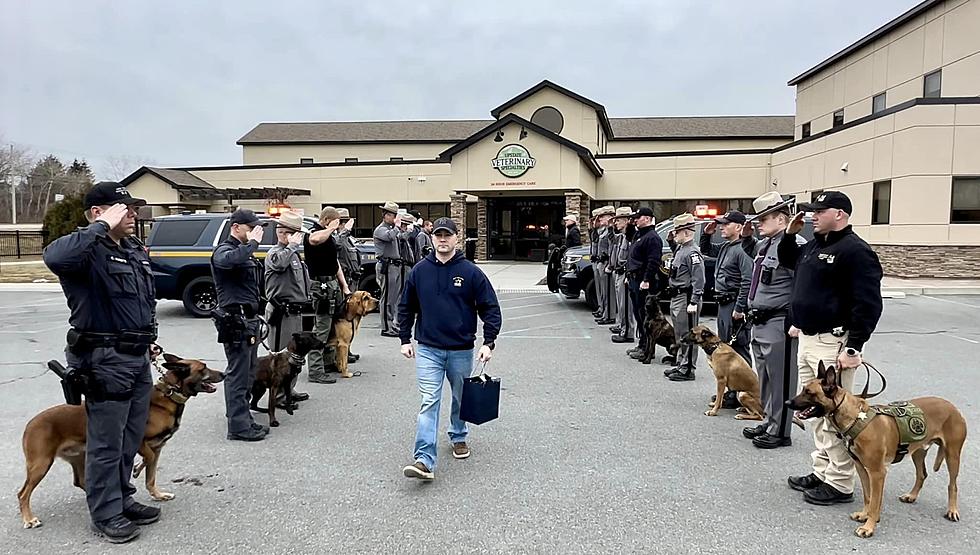 Honoring a Hero; NYS Troopers Pay Respects to Fallen K9 Officer