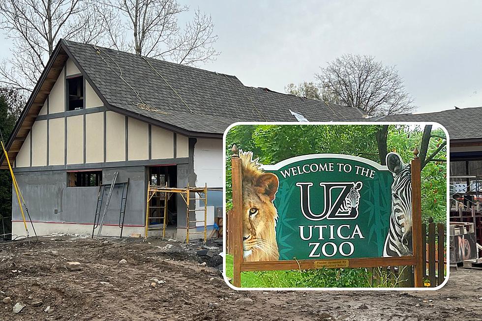 Watch Utica Zoo Place Finishing Touches on New Welcome Center