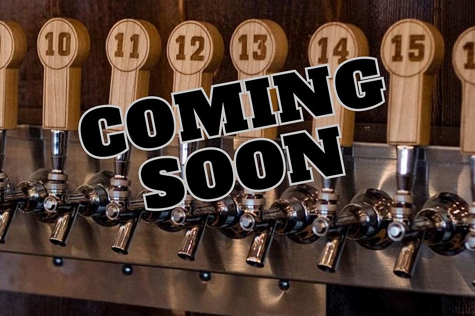 3 Bastards Brewing Opening in Central New York With 36 Taps