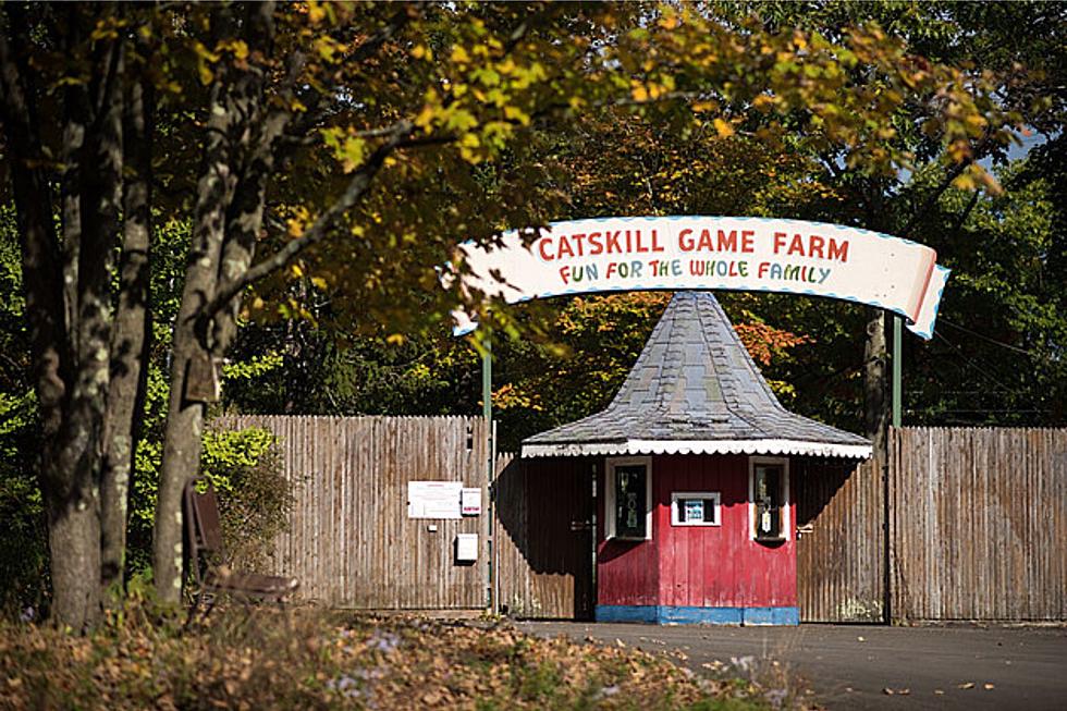 Catskill Game Farm Documentary on the Way, Any Pictures to Share?