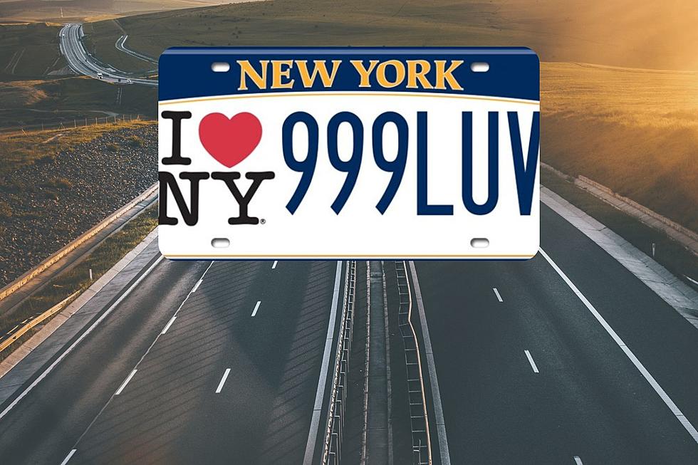 GALLERY: New License Plates Highlight 10 Regions in New York