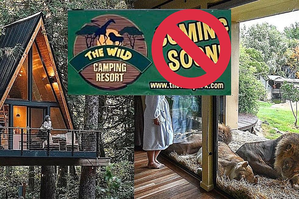 Luxury Wild Camping Resort Plans in CNY Suspended Indefinitely