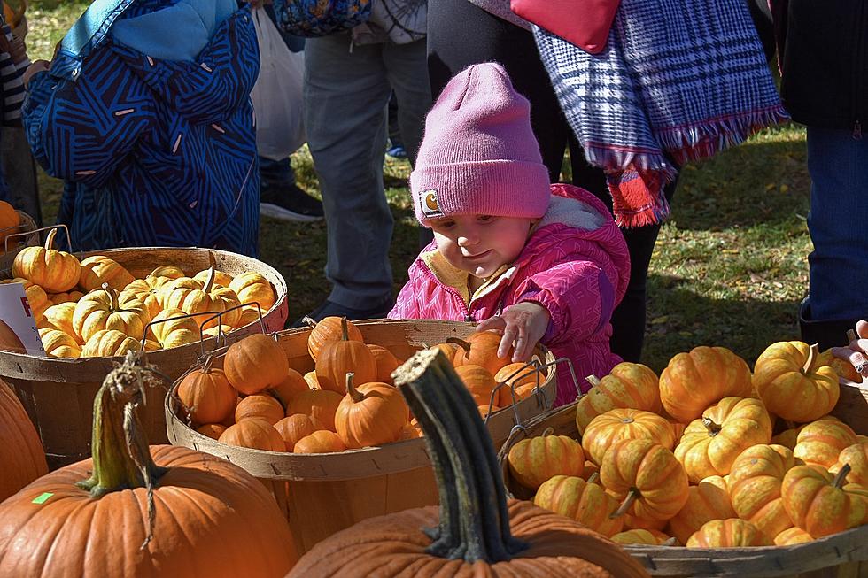 One Upstate New York Fall Festival Ranks Top 10 in the Country