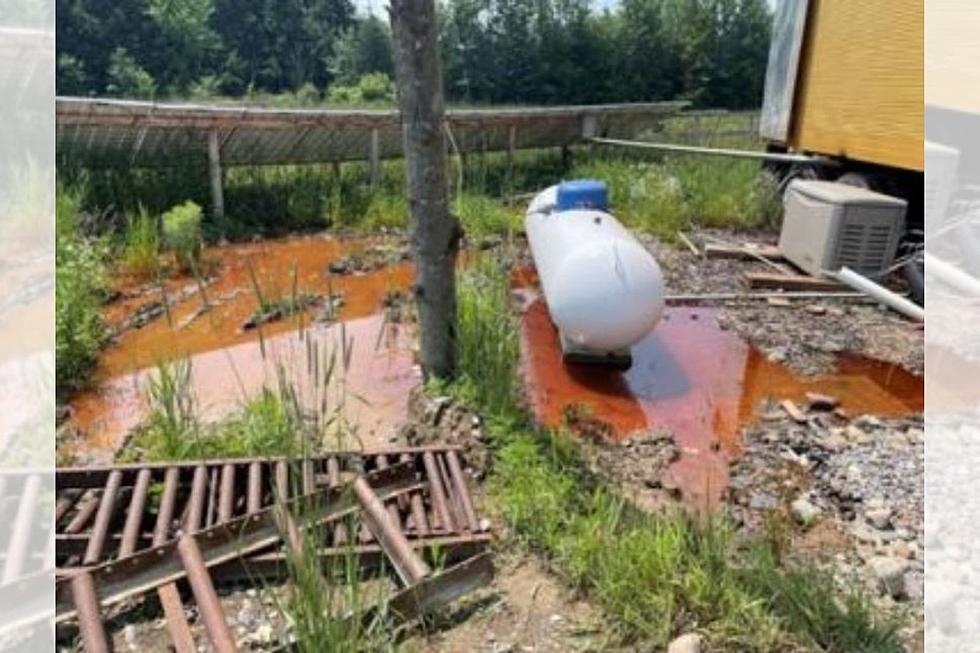 Upstate New York Man Charged After Spilling 200+ Gallons of Oil