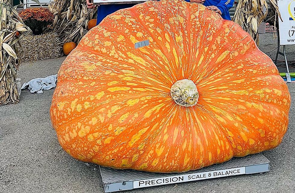 Oh My Gourd! New York Farmer Grows Award Winning Pumpkin