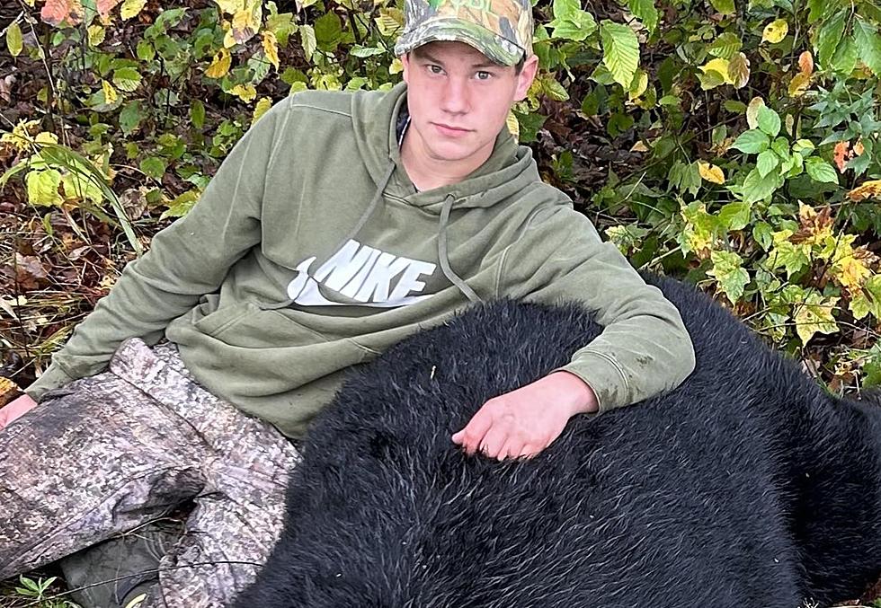 Teen Shoots First Bear in Upstate New York & It’s a Doozy at 485 Pounds