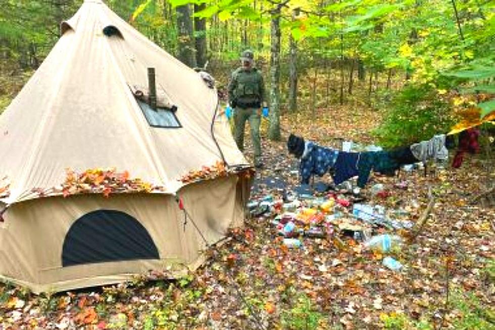 State Land Squatter: NY Camper Slapped with Three Tickets & Eviction Notice