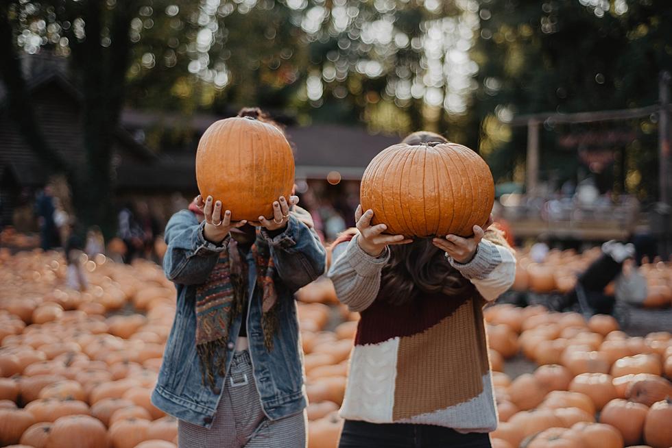 Gourd-geous Honor! 2 of Country's 10 Best Pumpkin Patches in NY