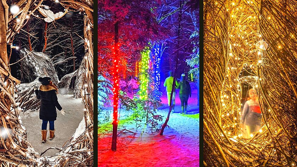 Enchanting Adirondack Magic: Lights & Music Ignite Holiday Wonderland in the Forest