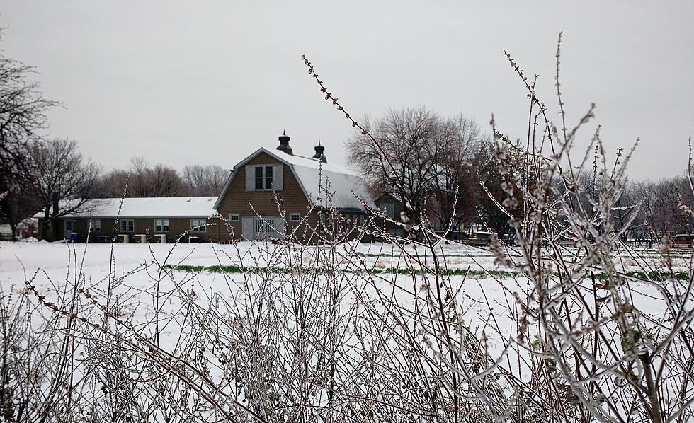 Oldest Farm in New York Began in 1600s & It’s Probably Not Where You Think