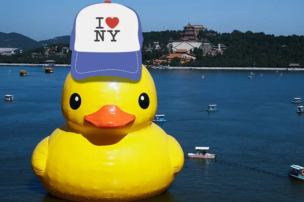 World’s Largest Duck Waddling Into New York This Summer