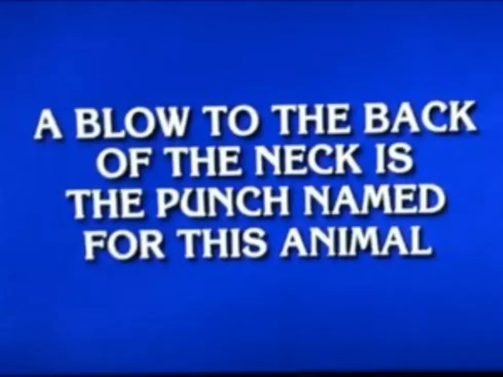 Jeopardy Contestant Asks &#8216;What is a Donkey Punch?&#8217; [VIDEO]