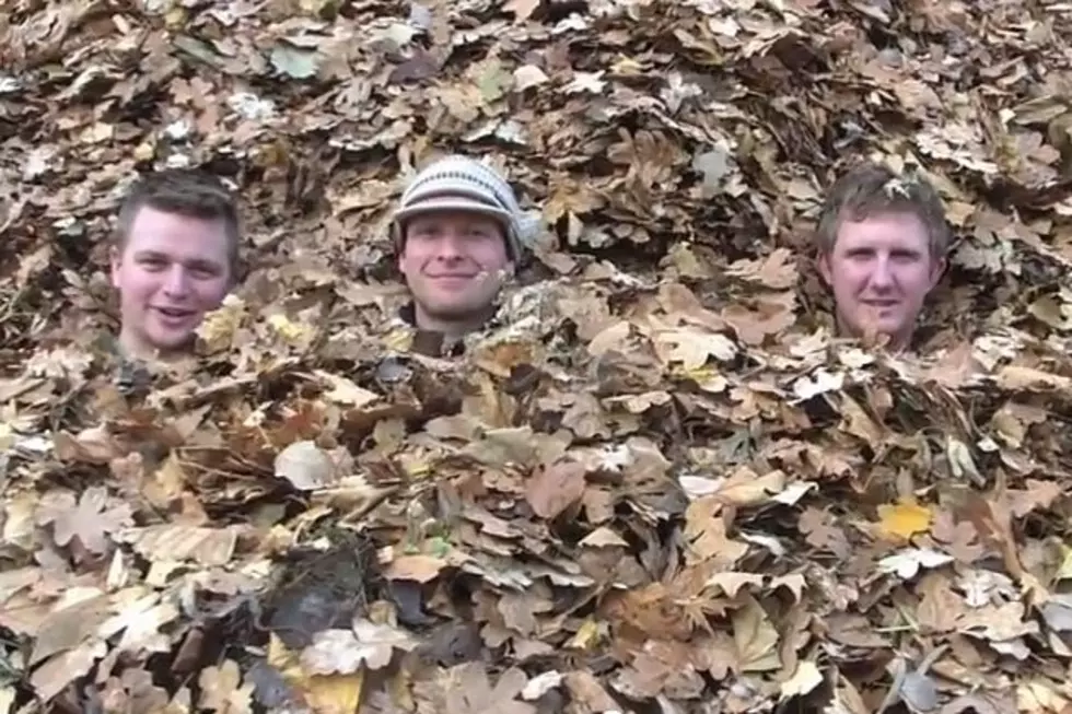 Watch These Guys Make 1500 Bags of Leaves into a Pile and Then Jump