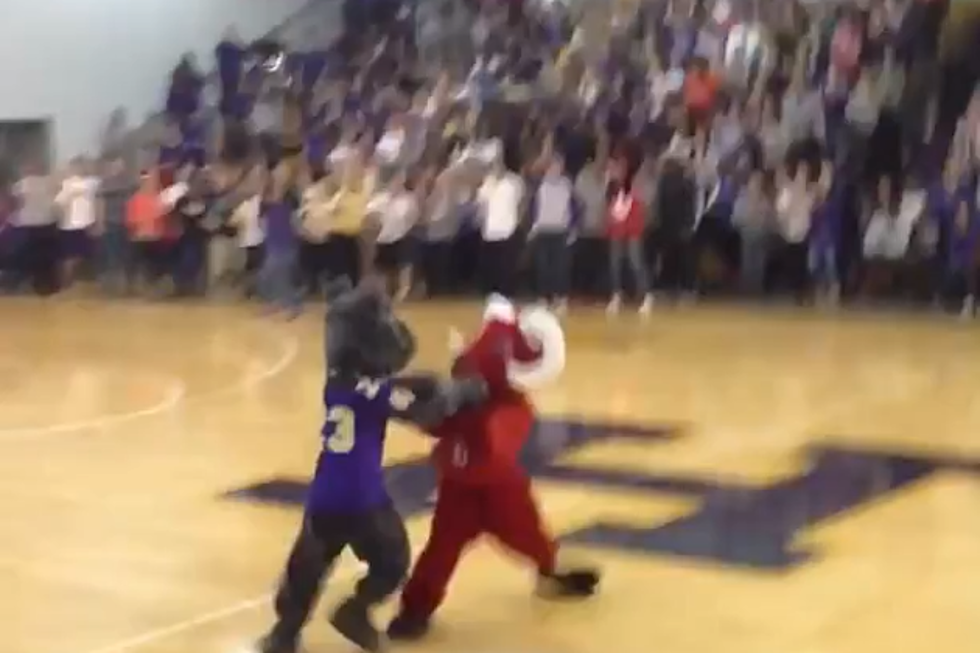 Kentucky High School Mascot Fight Gets Out of (Giant Furry) Hand
