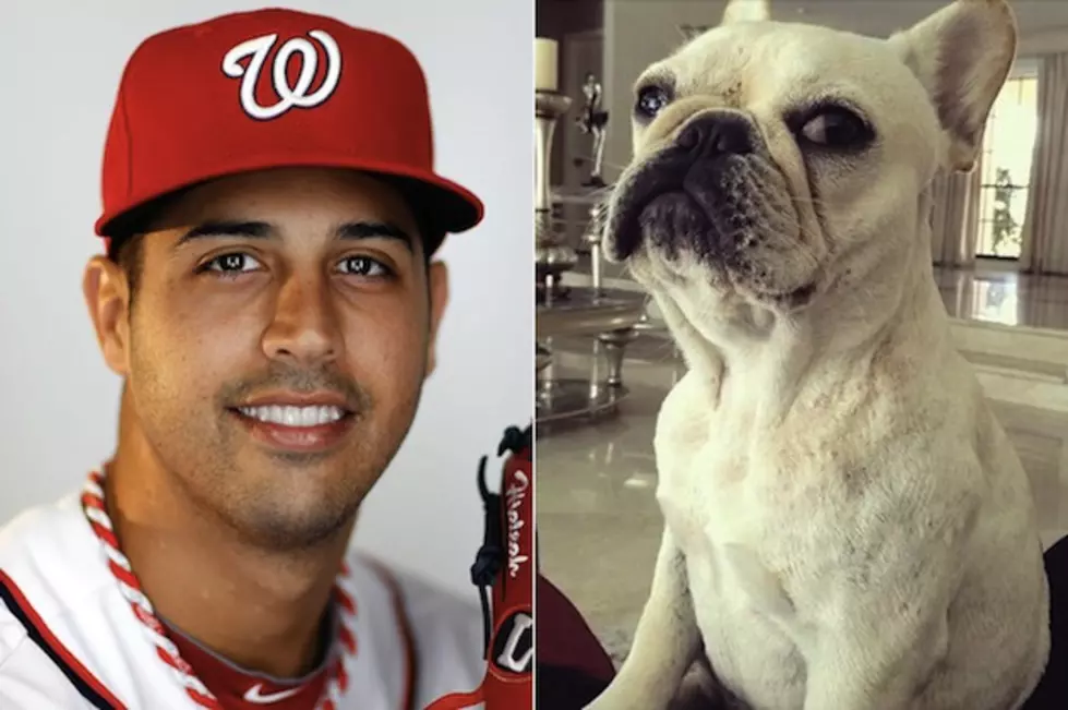 Gio Gonzalez Gets Rug Burn on His Forehead After Wrestling His Dog