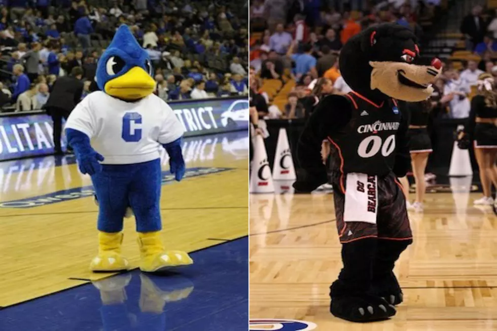 &#8216;Billy the Bluejay&#8217; of Creighton vs. &#8216;The Bearcat&#8217; of Cincinnati &#8212; March Mascot Madness