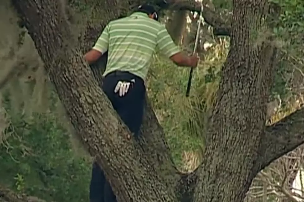Sergio Garcia Makes Incredible Shot Out of a Tree at the Arnold Palmer Invitational