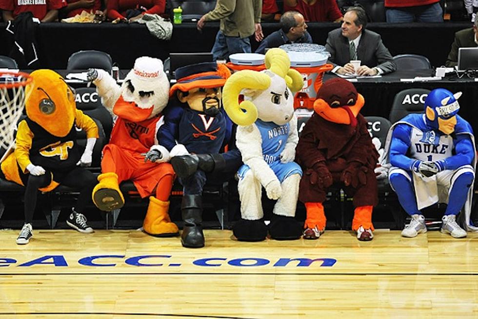 Which Mascot is Most Fearsome? An Incredibly Serious Breakdown of NCAA Mascots