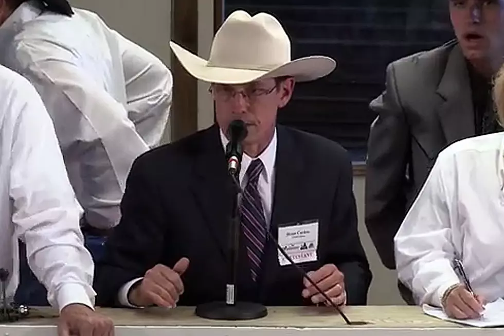 Livestock Auctioneer Championship Will Leave Your Head Spinning