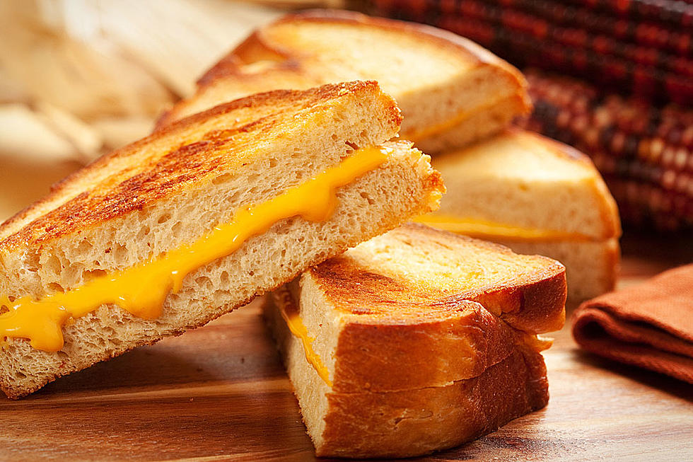 Cheesy Goodness: 5 Great Hudson Valley Grilled Cheese Spots
