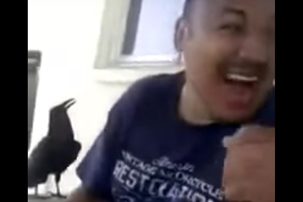 Is This Bird Saying ‘Thank You’ or ‘F— You’?