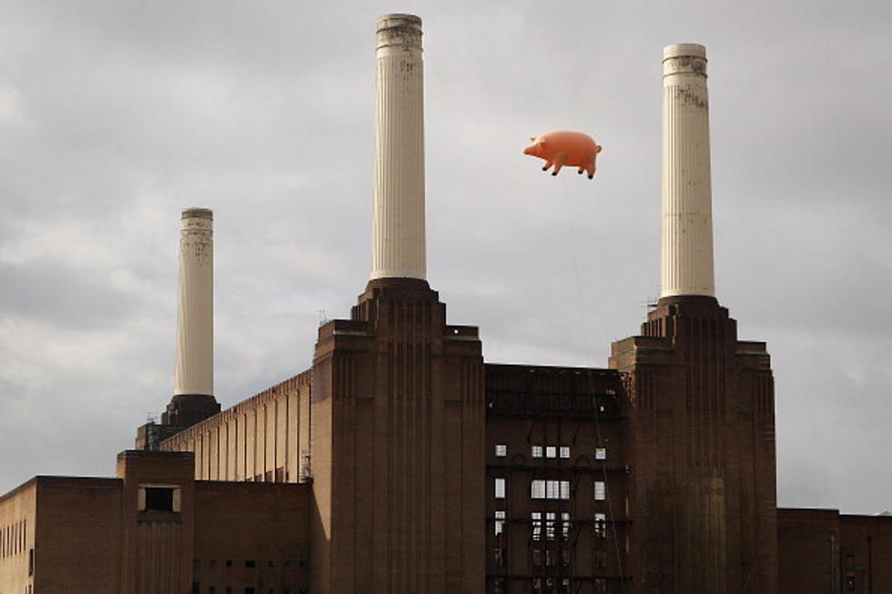 Pink Floyd At The Olympics?  When Pigs Fly