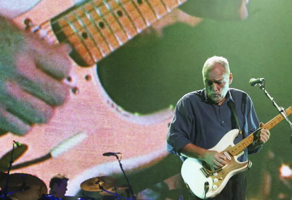 David Gilmour at 68: Pigs Will Fly