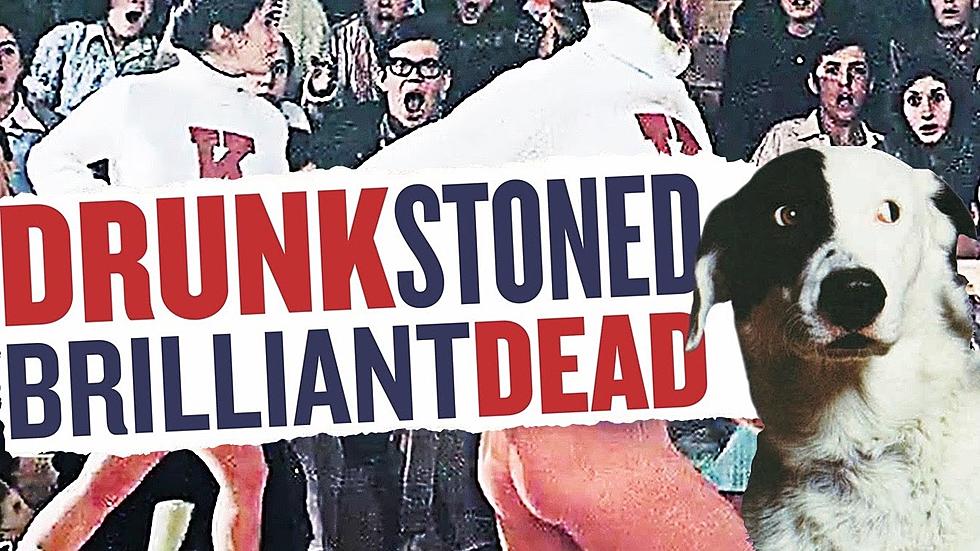 National Lampoon: Drunk Stoned Brilliant Dead [Celluloid Hero]