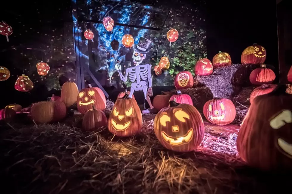 The Glow: A Jack O&#8217;Lantern Experience &#8211; The Complete Guide
