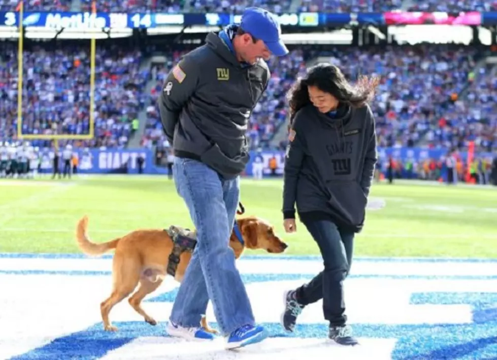 NY Giants “Salute To Service” Gives Veteran A Service Dog